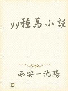 yy种马小说