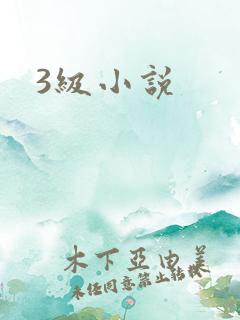 3级小说