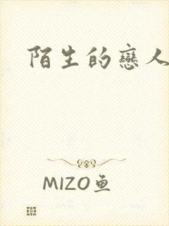 陌生的恋人小说