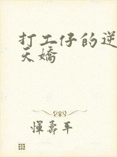 打工仔的逆袭楚天娇