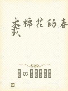 木棉花的春天下载