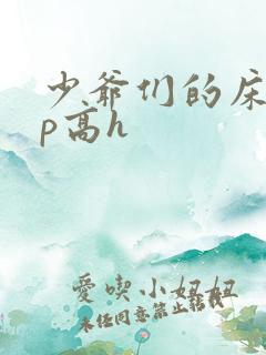 少爷们的床奴np高h