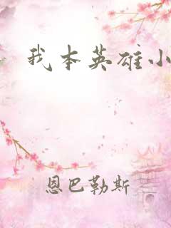 我本英雄小说