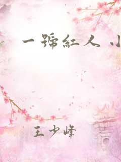 一号红人 小说