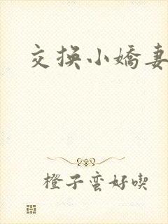 交换小娇妻互换