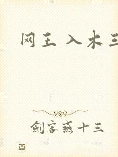 网王 入木三分