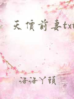 天价前妻txt