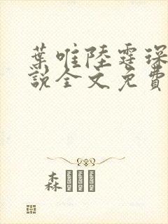 叶唯陆霆琛的小说全文免费阅读