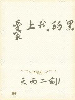 爱上我的黑道冤家