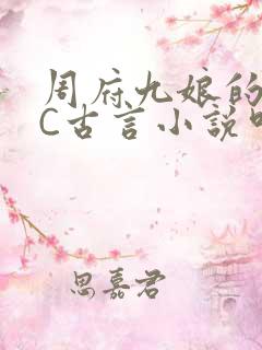 周府九娘的NPC古言小说叫什么