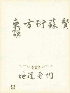 东方衍苏贤儿小说