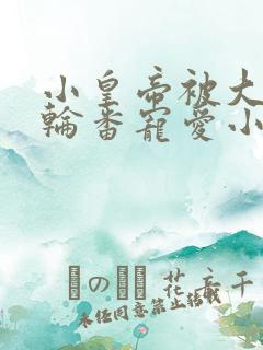 小皇帝被大臣们轮番宠爱小说