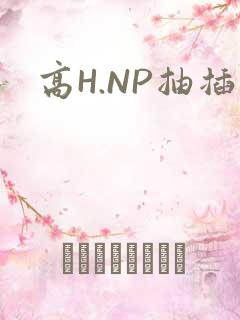 高H.NP抽插