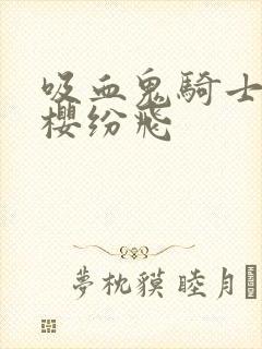 吸血鬼骑士之落樱纷飞