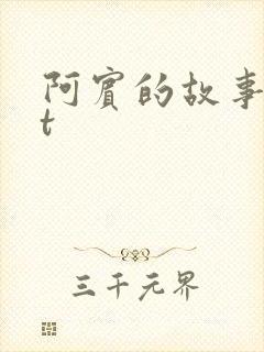 阿宾的故事txt