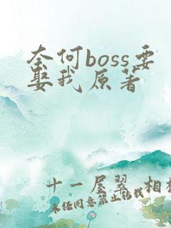 奈何boss要娶我原著