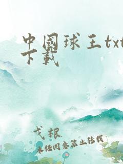 中国球王txt下载