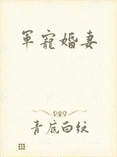 军宠婚妻