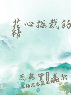 花心总裁的小妖精