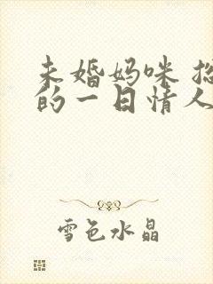 未婚妈咪 总裁的一日情人