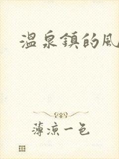 温泉镇的风流事
