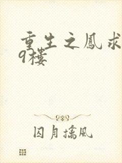 重生之凤求凰19楼