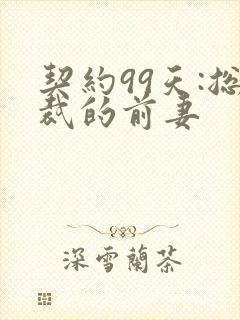 契约99天:总裁的前妻