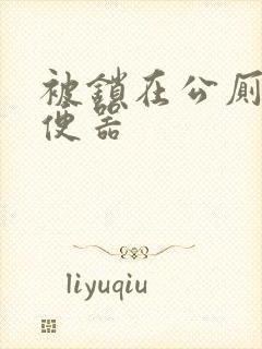 被锁在公厕当坐便器