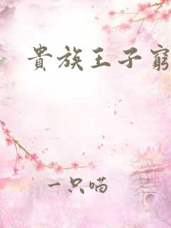 贵族王子穷公主