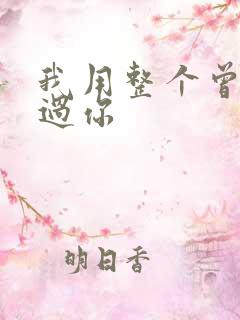 我用整个曾经爱过你