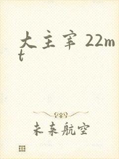 大主宰 22mt