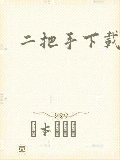 二把手下载