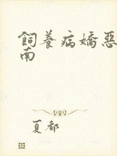 饲养病娇恶龙指南