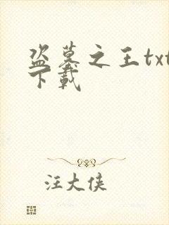 盗墓之王txt下载