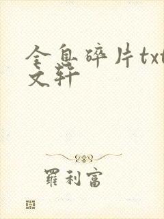 全息碎片txt文轩