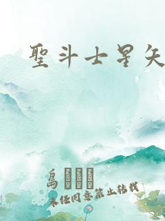 圣斗士星矢小说