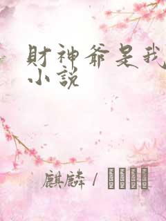 财神爷是我老板小说