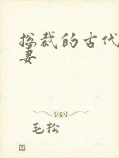 总裁的古代小娇妻