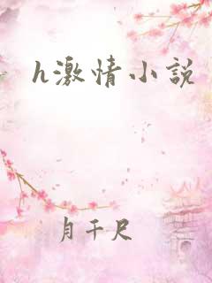 h激情小说