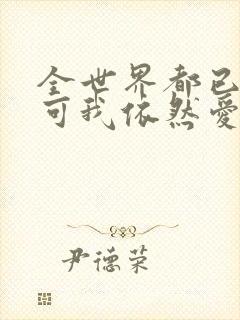 全世界都已剧终可我依然爱你