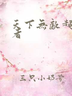 天下无敌超级忍者