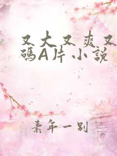 又大又爽又黄无码A片小说