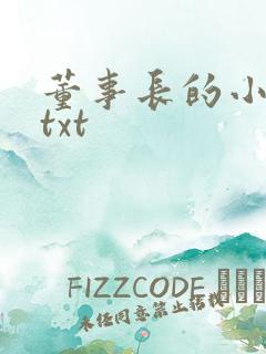 董事长的小王爷txt