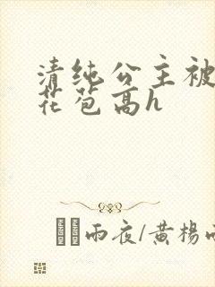 清纯公主被迫开花苞高h