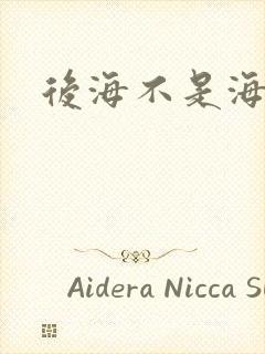 后海不是海小说