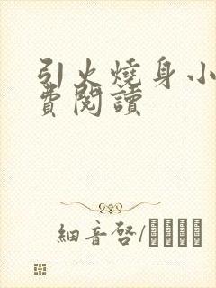 引火烧身小说免费阅读