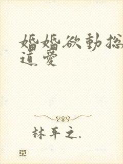 婚婚欲动总裁霸道爱