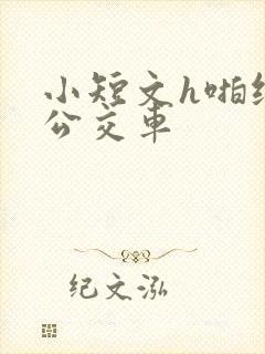 小短文h啪纯肉公交车