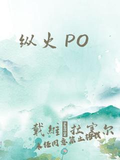 纵火 PO