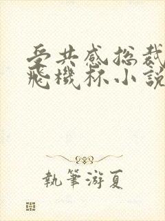 受共感总裁攻的飞机杯小说叫什么